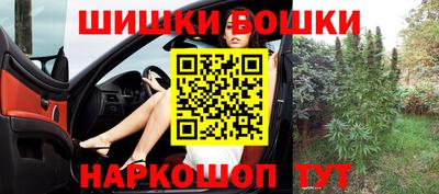 индика Аргун