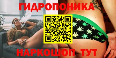 индика Аргун