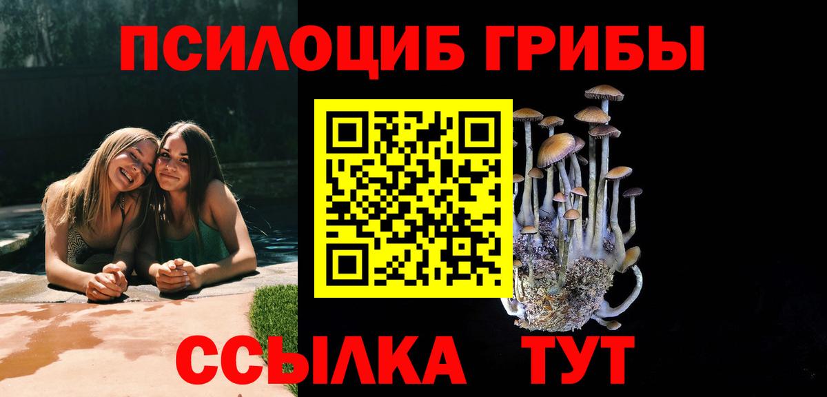 Владикавказ  Галлюциногенные грибы Magic Shrooms  Вход с VPN 